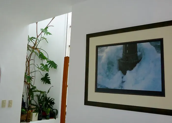 Mom's House